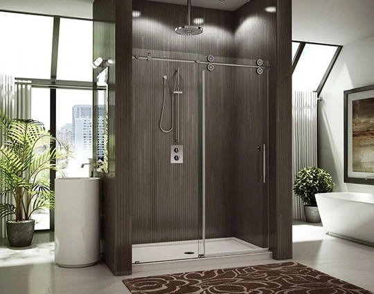 Double Panel Shower Doors